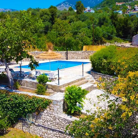 Hotel Palasa بالاسي