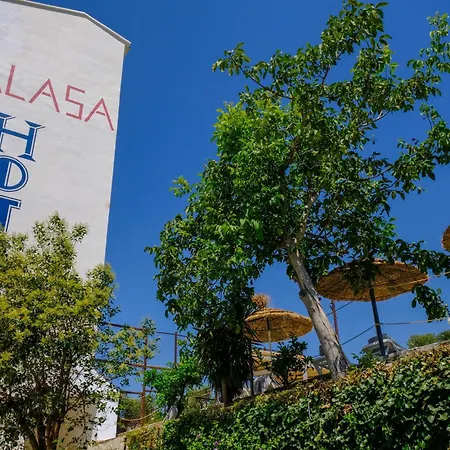 酒店 Hotel Palasa