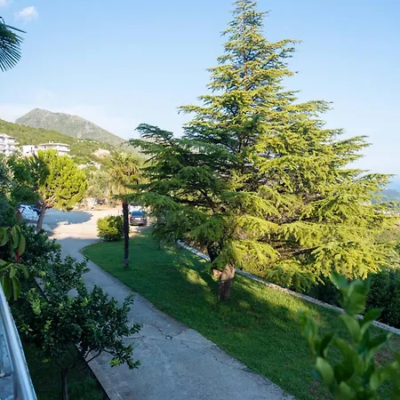 Szálloda Hotel Palasa 4*